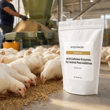 Acid Cellulase Enzymes For Animal Feed Additives Feed Grade Powder — industrial enzyme by enzymes.bio
