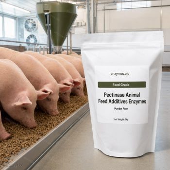 Pectinase Animal Feed Additives Enzymes Feed Grade Powder — industrial enzyme by enzymes.bio