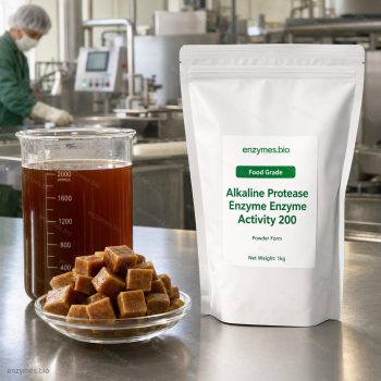 Alkaline Protease Enzyme Enzyme Activity 200 Food Grade Powder — industrial enzyme by enzymes.bio