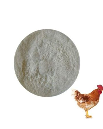 Enzymes pour l'alimentation des poulets de chair