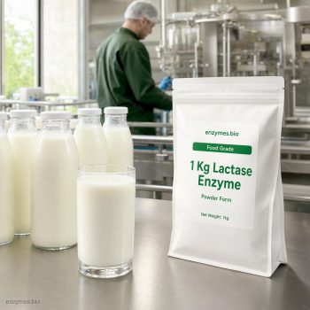 1 Kg Lactase Enzyme Food Grade Powder — industrial enzyme by enzymes.bio