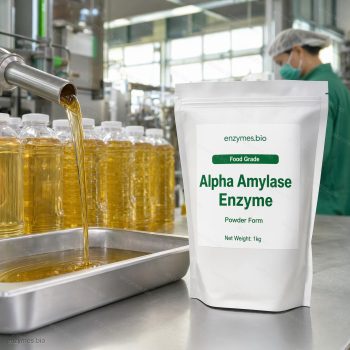 Alpha Amylase Enzyme Food Grade Powder — industrial enzyme by enzymes.bio