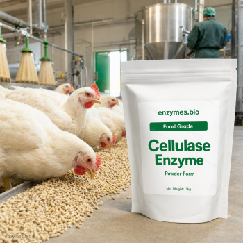 Cellulase Enzyme Food Grade Powder — industrial enzyme by enzymes.bio
