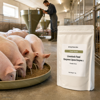 Livestock Feed Enzymes Lipase Enzyme ≥ Feed Grade Powder — industrial enzyme by enzymes.bio