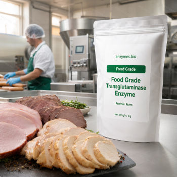 Food Grade Transglutaminase Enzyme Food Grade Powder — industrial enzyme by enzymes.bio