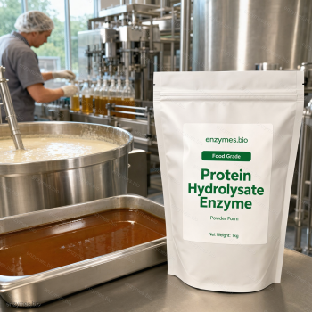 Protein Hydrolysate Enzyme Food Grade Powder — industrial enzyme by enzymes.bio