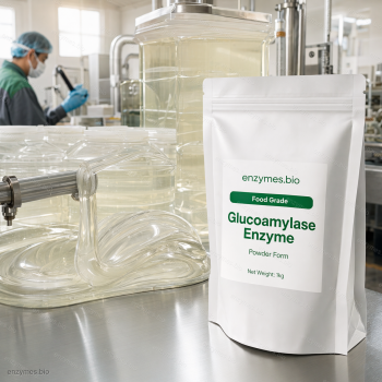 Glucoamylase Enzyme Food Grade Powder — industrial enzyme by enzymes.bio