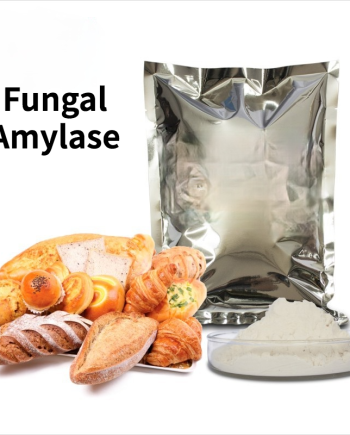 Fungal Amylase Food Grade 100