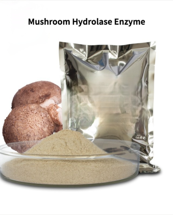 Mushroom Hydrolase Seasoning Special Compound Protease 1kg/Bag