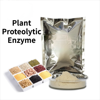 Plant Proteolytic Enzyme Wheat Gluten Flour Special Enzyme for Corn and Rice Hydrolysis