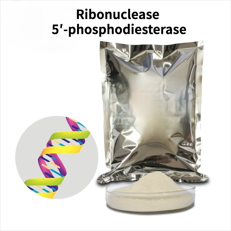 Ribonuclease 5′-phosphodiesterase 12