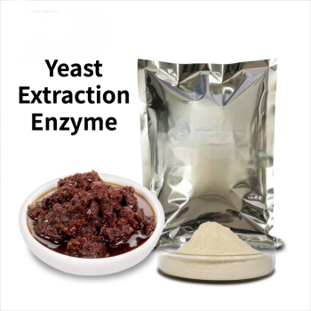 Yeast Extraction Enzyme Yeast Protein Hydrolase Condiment Food Extraction Enzyme