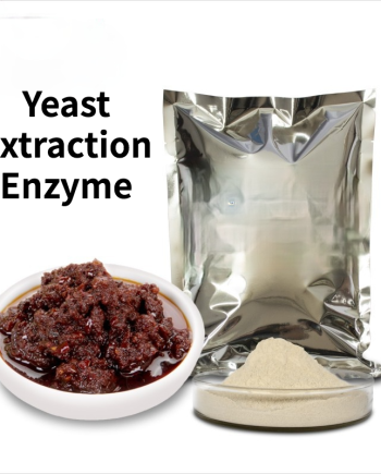 Yeast Extraction Enzyme Yeast Protein Hydrolase Condiment Food Extraction Enzyme