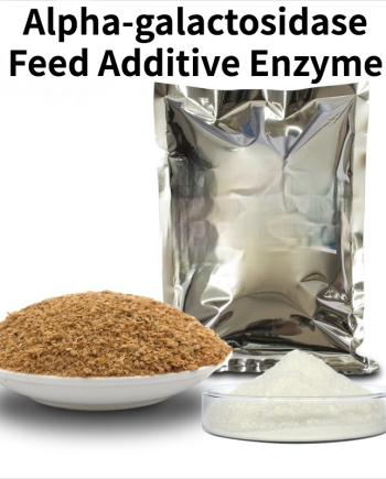 Α-Galactosidase Feed Additive Biological Enzyme Preparation