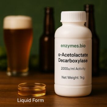 Food Grade α-Acetolactate Decarboxylase