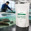 Sea Cucumber Enzyme Complex – Aquaculture Feed-Grade Additive