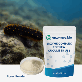 Sea Cucumber Enzyme Complex – Aquaculture Feed-Grade Additive