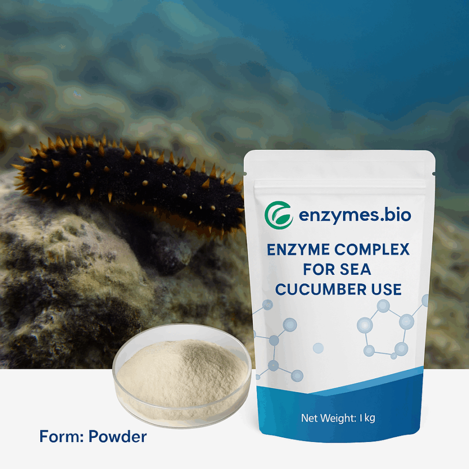 Sea Cucumber Enzyme Complex – Aquaculture Feed-Grade Additive
