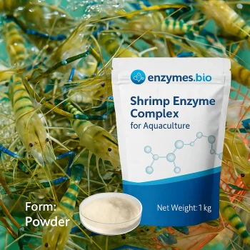 Shrimp Enzyme Complex Feed Grade Powder — bulk powder supplier | Enzymes.Bio
