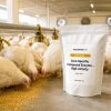 Corn-Specific Compound Enzyme – High-Activity Feed Additive for Animal Nutrition