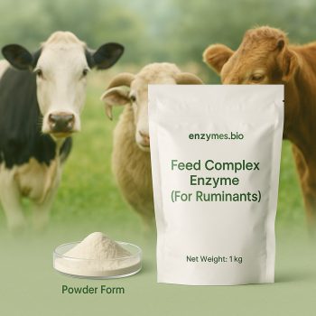 Σύμπλεγμα ενζύμων ζωοτροφών - Για μηρυκαστικά