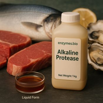 Αλκαλική πρωτεάση κατάλληλη για τρόφιμα