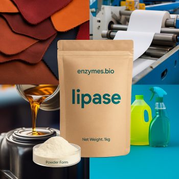 Βιομηχανικό ένζυμο λιπάσης - Βιοκαταλύτης πολλαπλών χρήσεων για την υδρόλυση λιπών και ελαίων