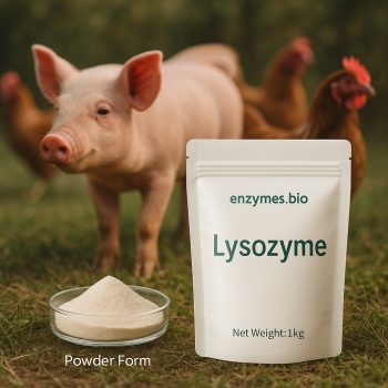Λυσοζύμη - Πρόσθετο ζωοτροφών για πουλερικά και χοίρους