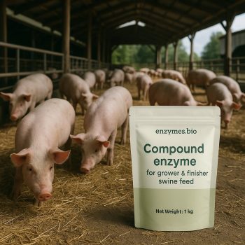 Sestavljeni encim za krmo za prašiče v fazi odraščanja in zaključne faze