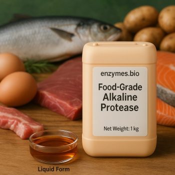 Alkalna proteaza za hidrolizo beljakovin, primerna za uporabo v živilih