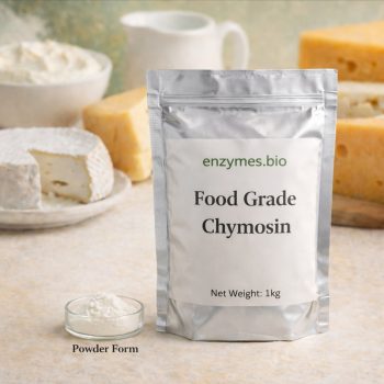 Domovská stránka Enzymes.Bio 19 Chymosin pro potravinářské účely