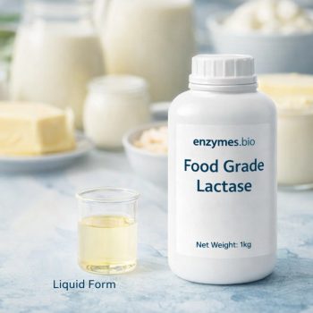 Domovská stránka Enzymes.Bio 19 Laktáza potravinářské kvality