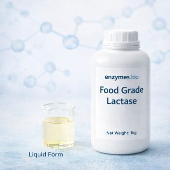 Enzymes.Bio hjemmeside 21 Laktasevæske i fødevarekvalitet