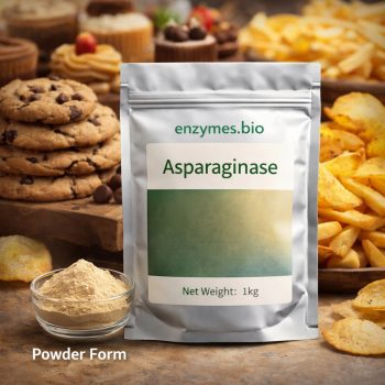 Enzymes.Bio Homepage 21 Food Grade Asparaginase 100g