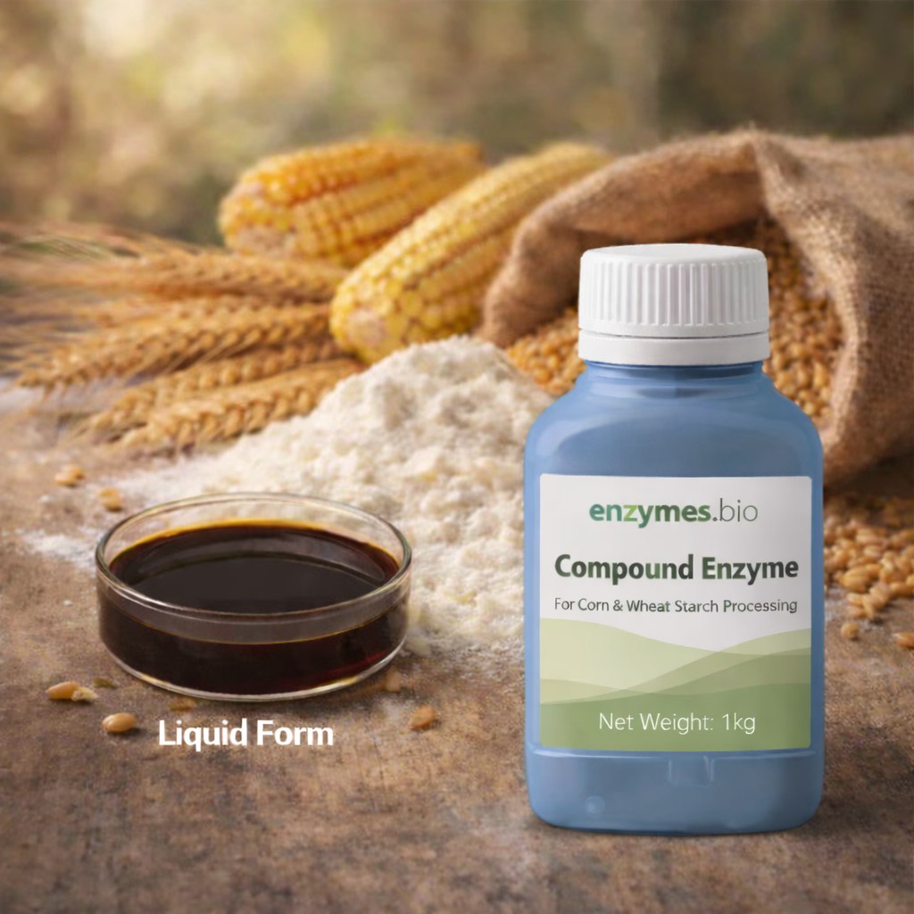 Food-Grade Compound Enzyme for Corn & Wheat Starch Processing 1 Food-Grade Compound Enzyme for Corn & Wheat Starch Processing