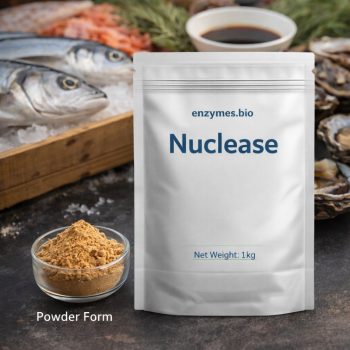 Enzymes.Bio Pagina de pornire 19 Nuclease grad alimentar 100g