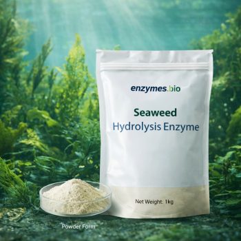 Seaweed Hydrolysis Enzyme