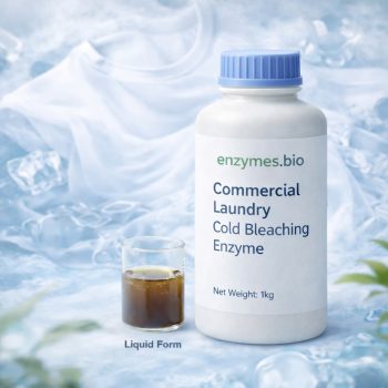 Cold Bleaching Enzyme for Commercial Laundry