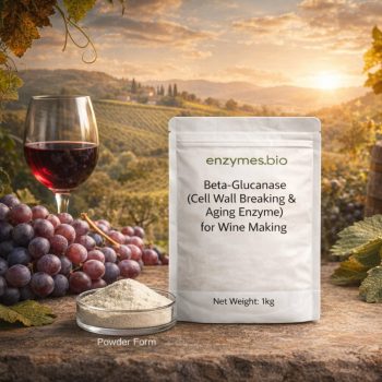 Food Grade Beta Glucanase for Wine Making Cell Wall Breaking and Aging Enzyme