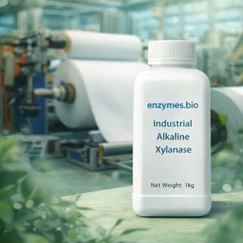 Industrial Alkaline Xylanase for Pulp and Paper Processing