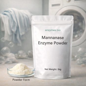Mannanase Enzyme Powder for Detergent Applications