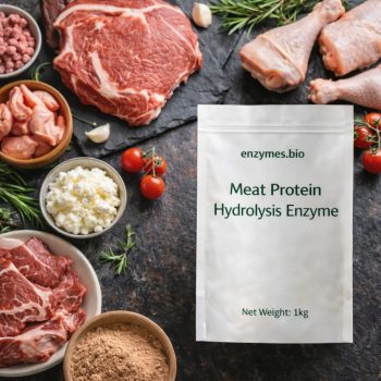 Meat Protein Hydrolysis Enzyme 