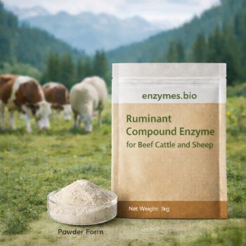 Ruminant Compound Enzyme for Beef Cattle and Sheep