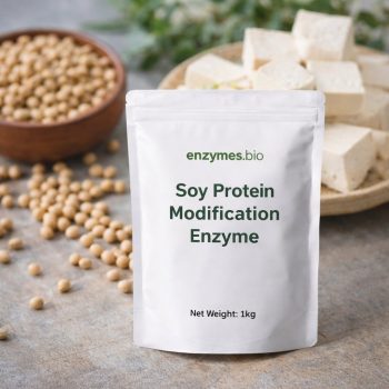 Soy Protein Modification Enzyme 