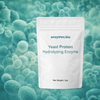 Yeast Protein Hydrolyzing Enzyme