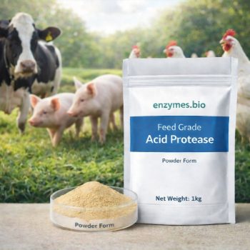 Saures Protease-Pulver in Futtermittelqualität