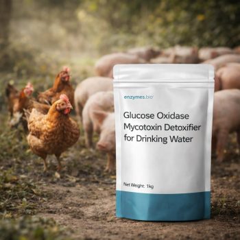 Glucose Oxidase Mykotoxin-Entgifter für Trinkwasser