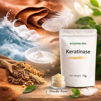 Industrielles Keratinase-Pulver