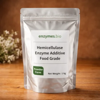 Hemicellulase Enzyme Additive Food Grade — Powder | Enzymes.Bio